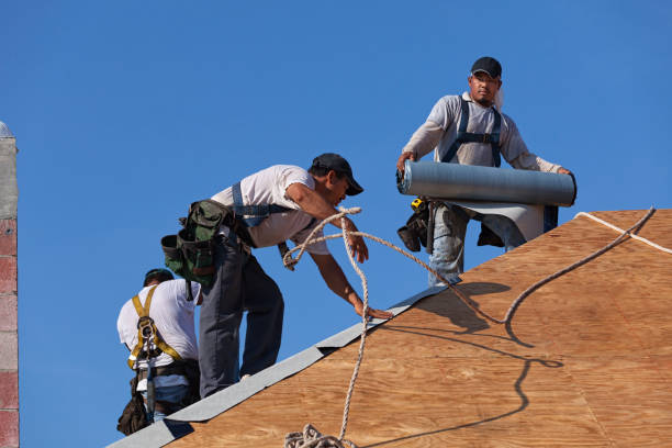 Roof Waterproofing Services in Omaha, TX